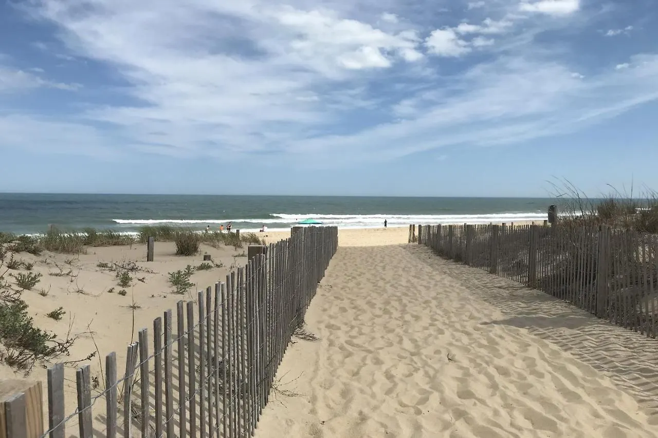Summer Sands At 80 East Ocean City